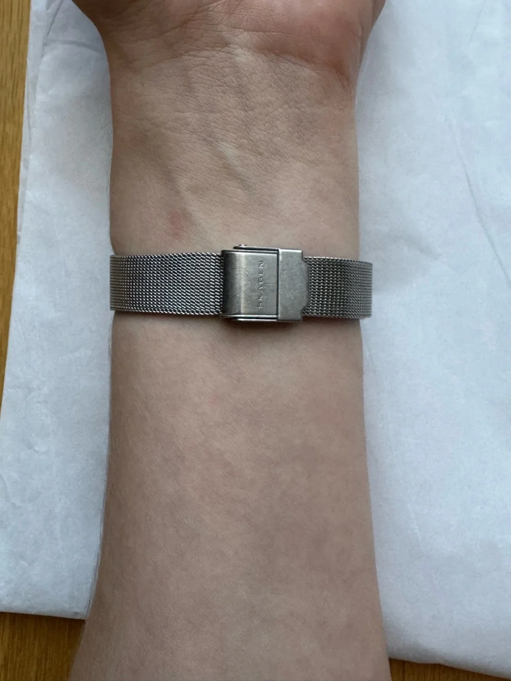 Skagen Denmark Platinum Plated Crystal Accent Mesh Watch